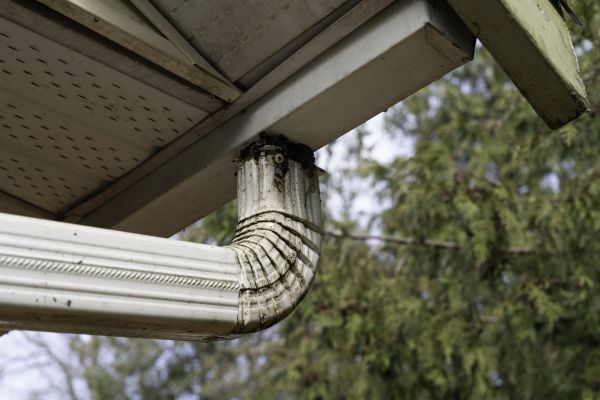 Cost of Roof Drain Replacement in Port Charlotte