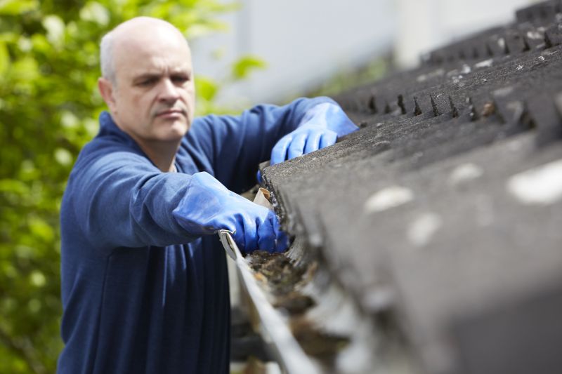 Cleaning Residential Gutters